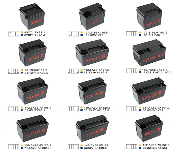 Hot Runner Injection Molding For Motorcycle Battery Box/Container Mould